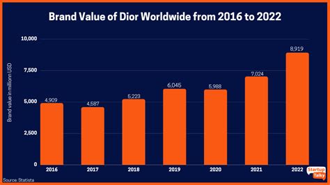 dior targeting strategy issues|christian dior brand identity.